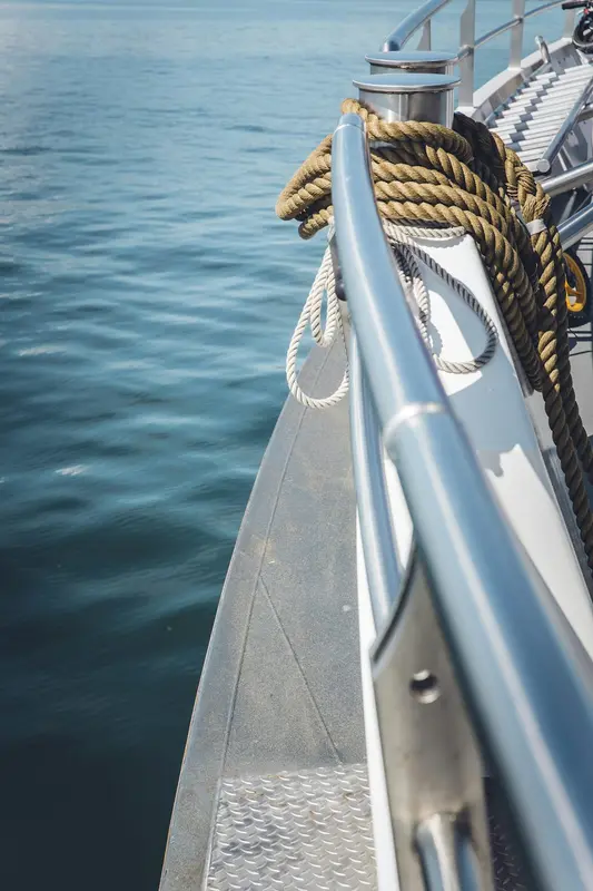 Flipper.Boats Premium Domain